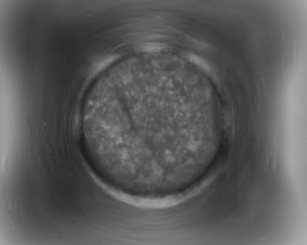 X0000086260016200704122018