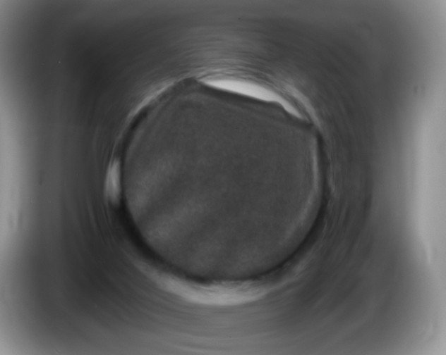X0000086260020200704122018