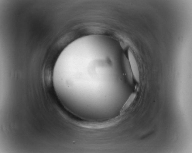 X0000086260021200704122018