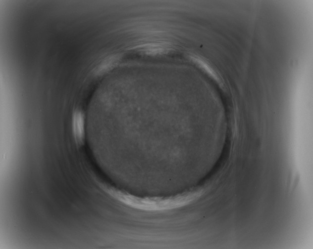 X0000086260022200704122018