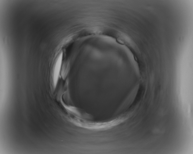 X0000086260023200704122018
