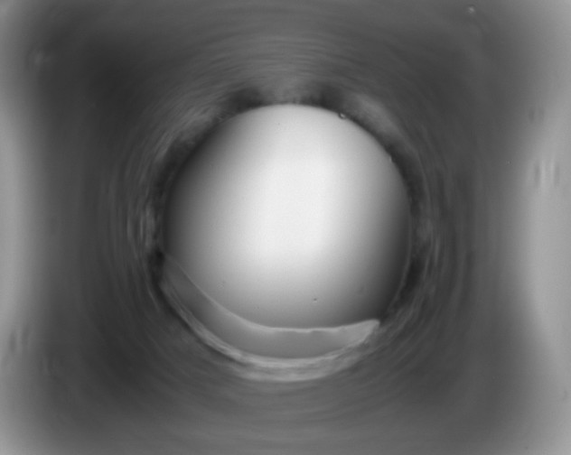 X0000086260025200704122018
