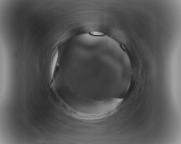 X0000086260027200704122018