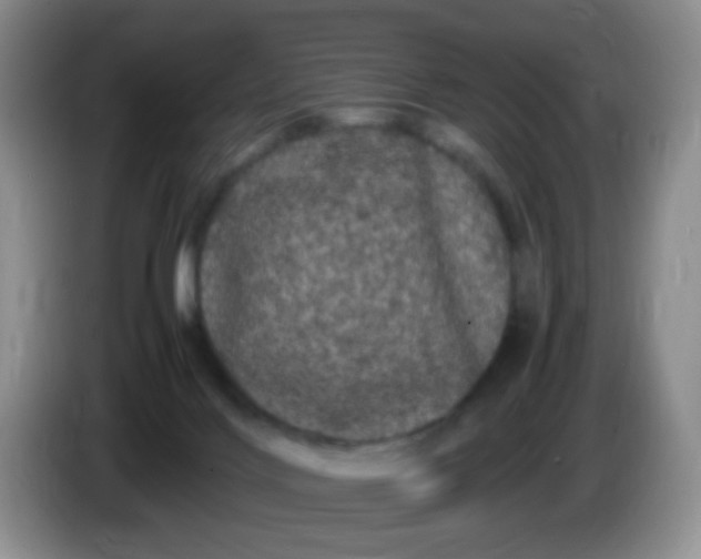 X0000086260028200704122018