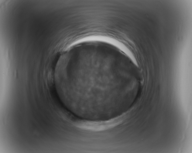 X0000086260029200704122018