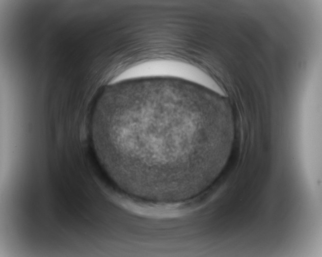 X0000086260032200704122018