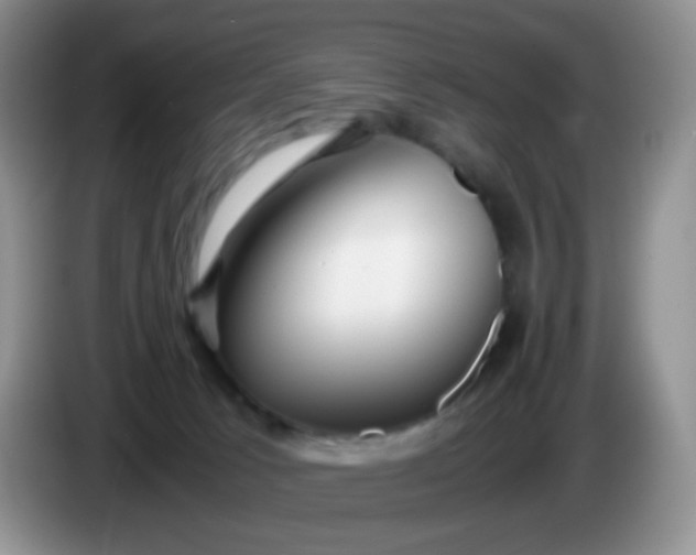 X0000086260033200704122018