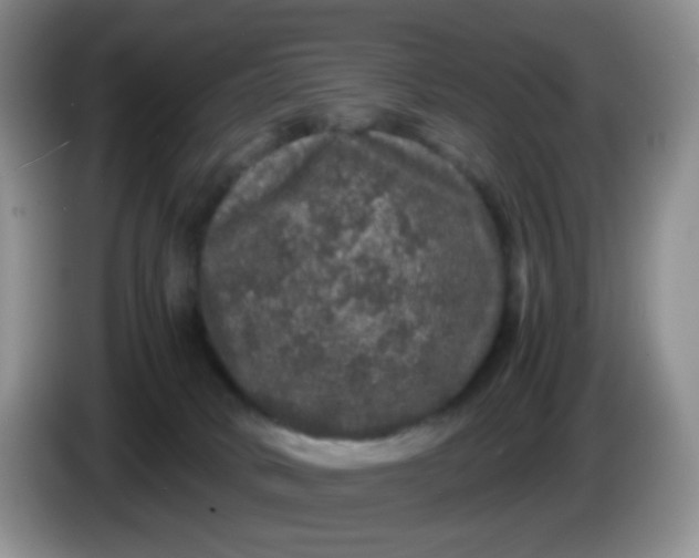 X0000086260034200704122018