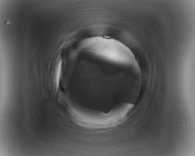 X0000086260035200704122018