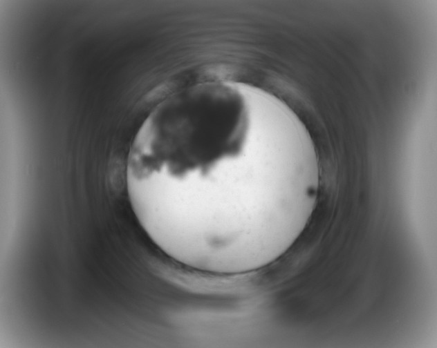 X0000086260036200704122018