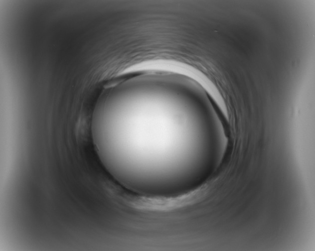X0000086260037200704122018