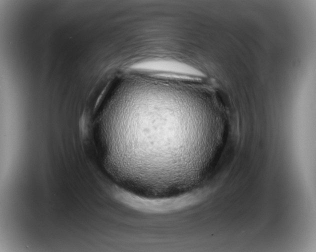 X0000086260038200704122018