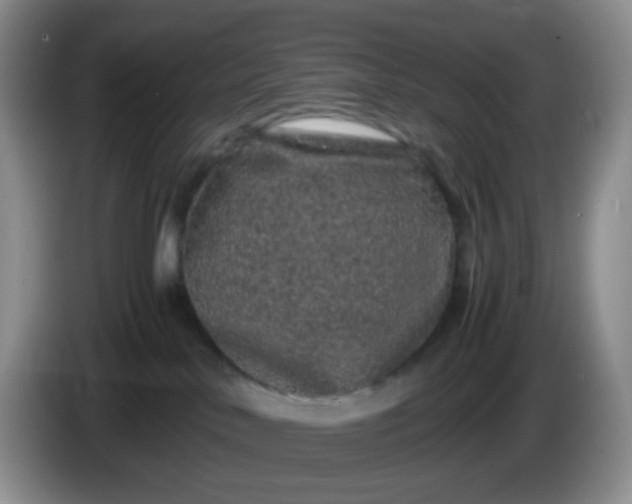 X0000086260042200704122018