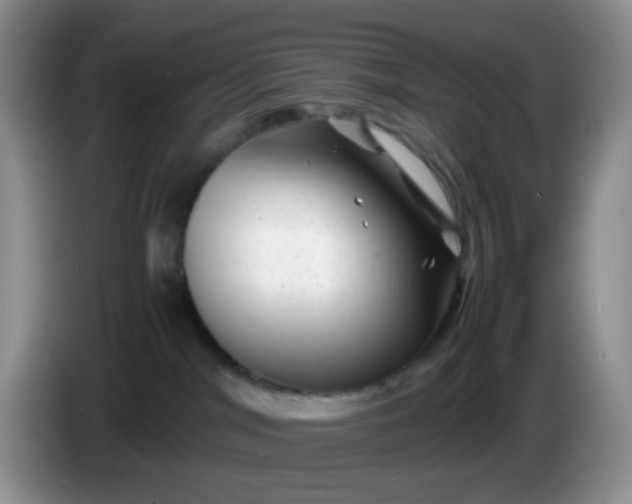 X0000086260044200704122018