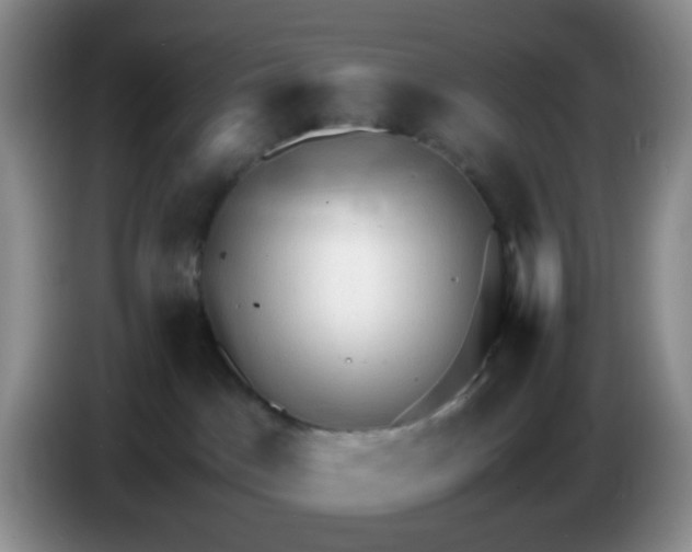 X0000086260045200704122018
