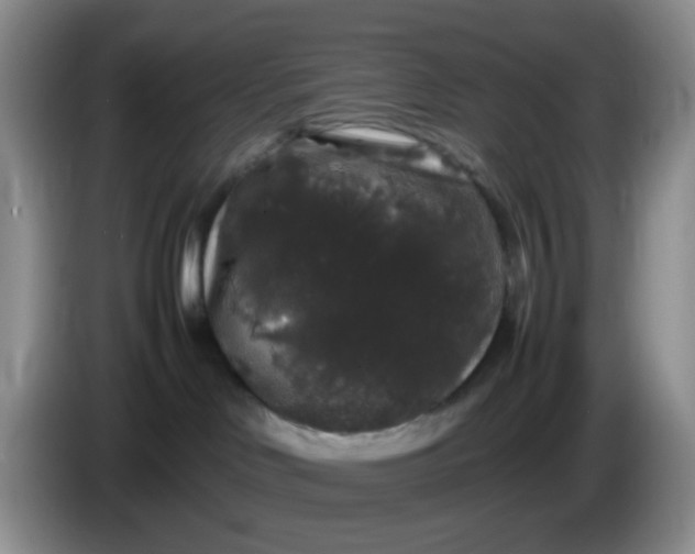 X0000086260046200704122018