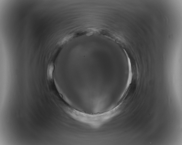 X0000086260047200704122018