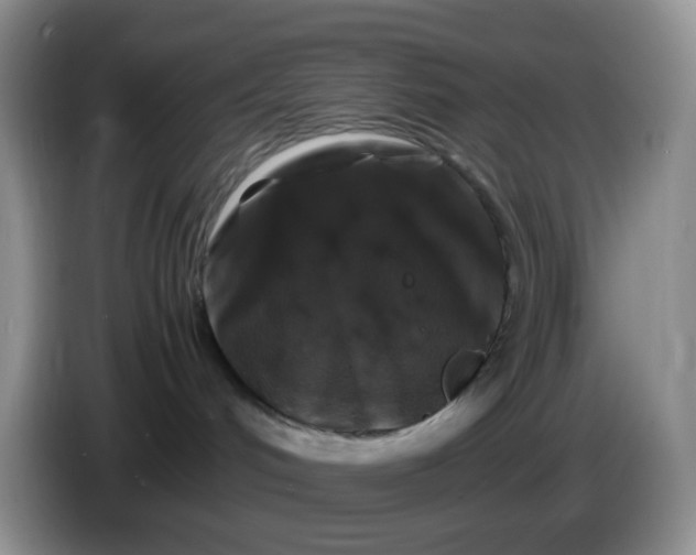 X0000086260048200704122018