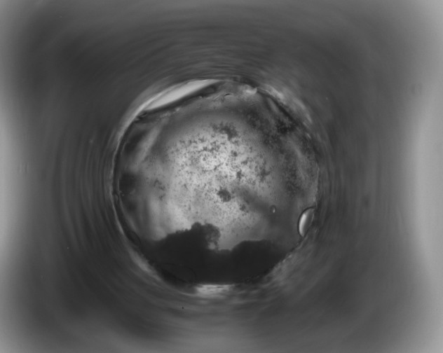 X0000086260051200704122017