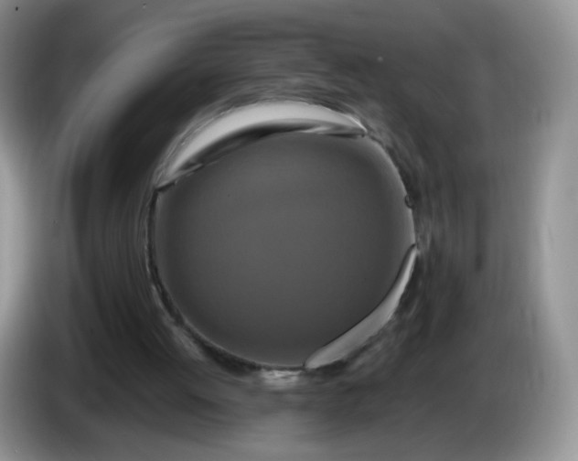 X0000086260052200704122017