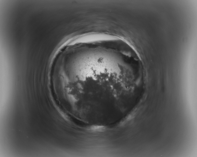 X0000086260055200704122017