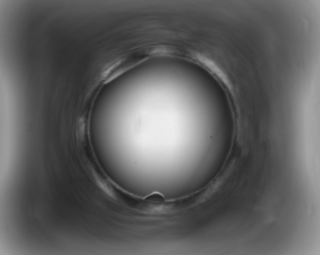 X0000086260057200704122017