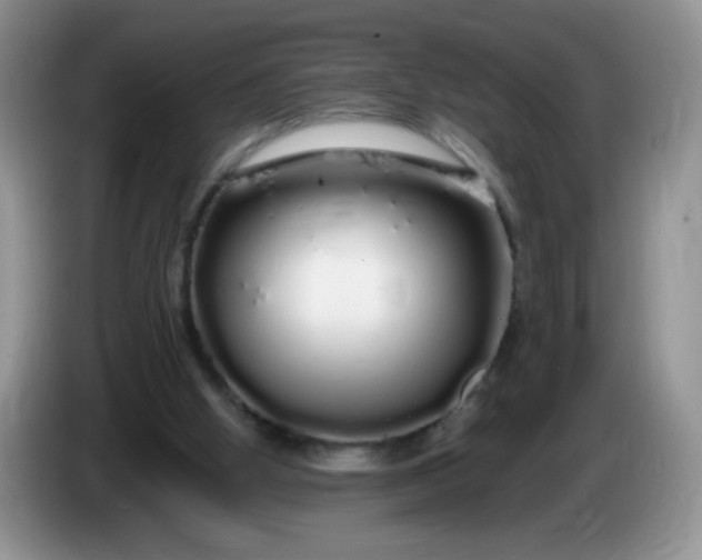 X0000086260058200704122017