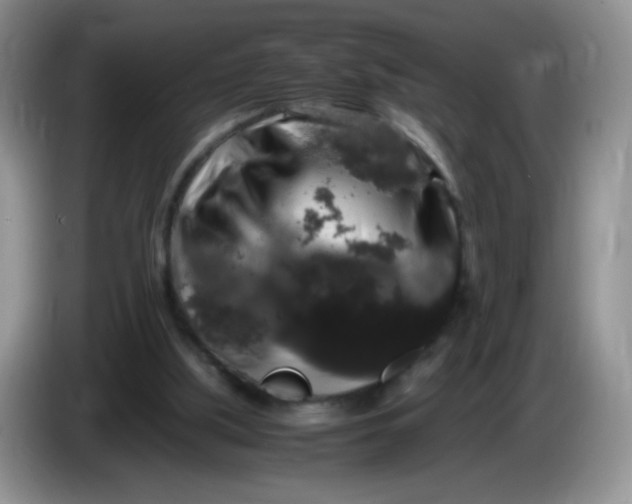 X0000086260059200704122017