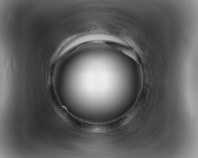 X0000086260060200704122017