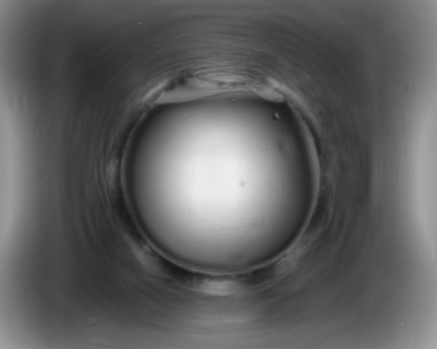 X0000086260066200704122017