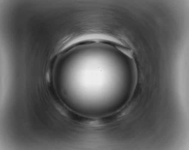X0000086260068200704122017