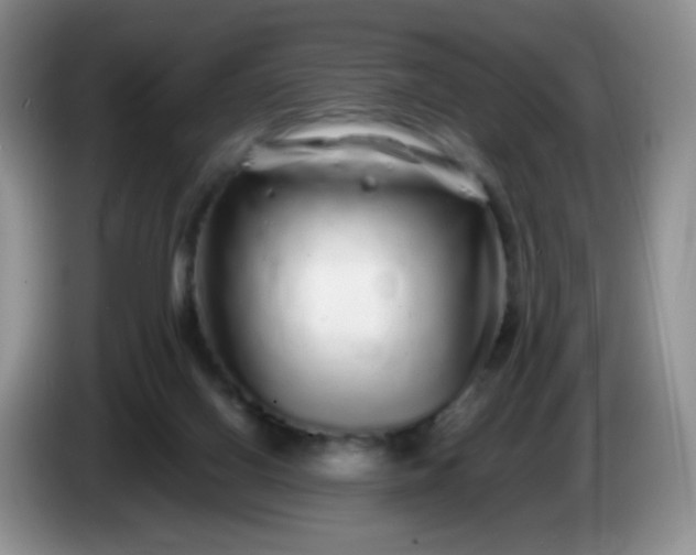 X0000086260070200704122017