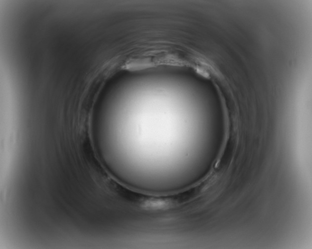X0000086260073200704122018
