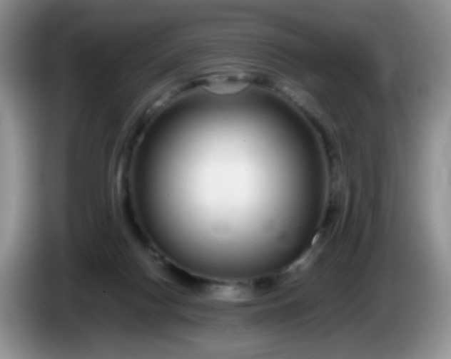 X0000086260074200704122018