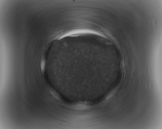 X0000086260076200704122018