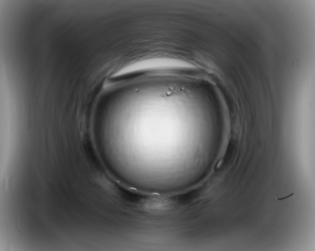 X0000086260077200704122018