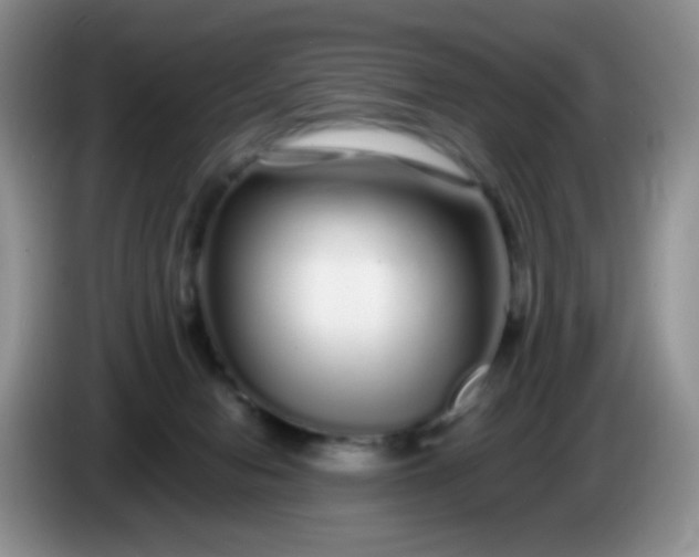 X0000086260078200704122018