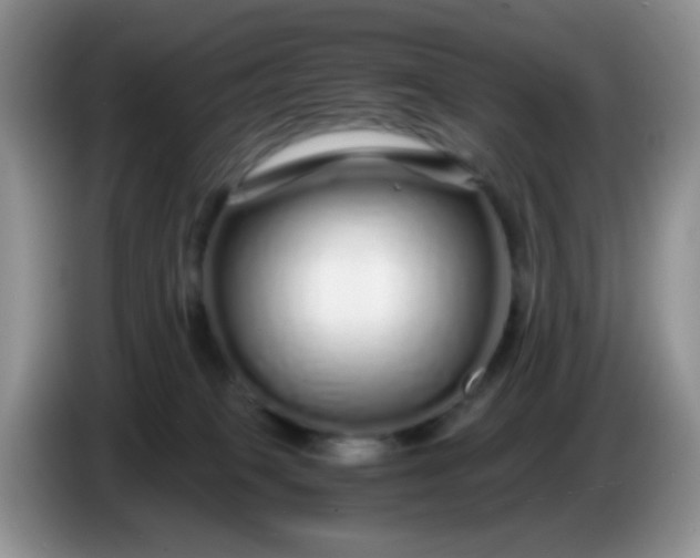 X0000086260085200704122018