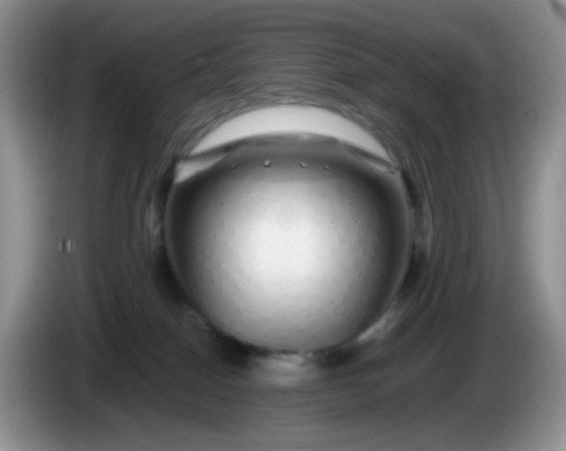 X0000086260086200704122018