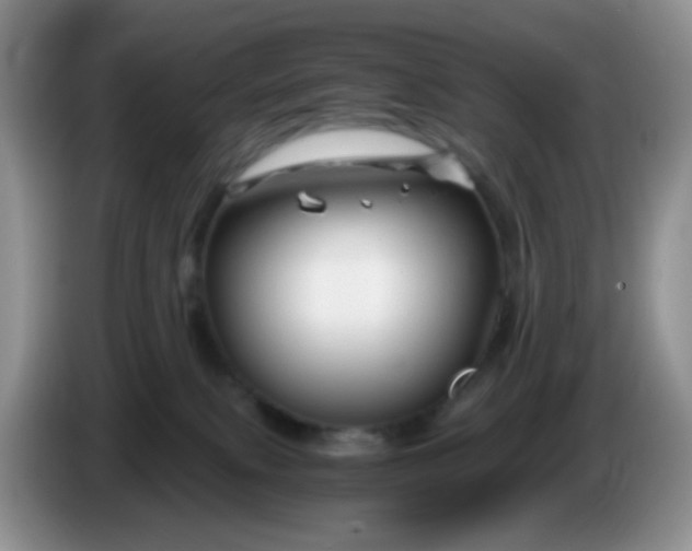 X0000086260087200704122018
