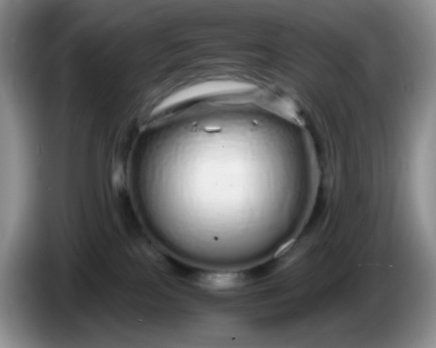 X0000086260089200704122018