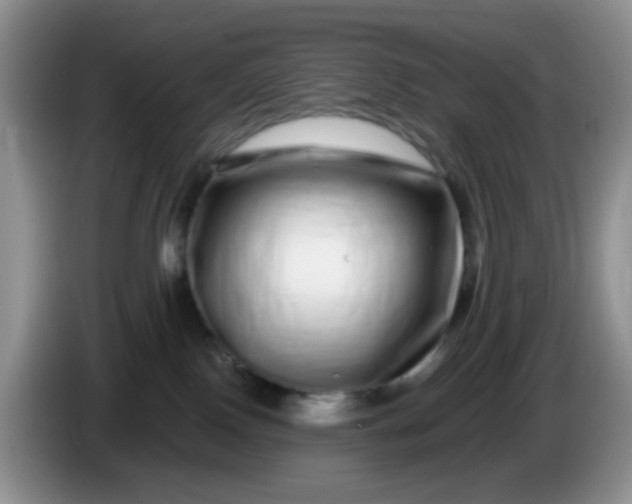 X0000086260090200704122018