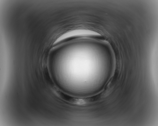 X0000086260091200704122018