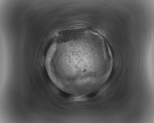 X0000086260093200704122018