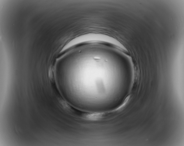 X0000086260094200704122018