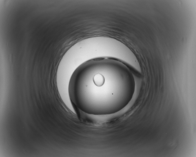 X0000086260096200704122018