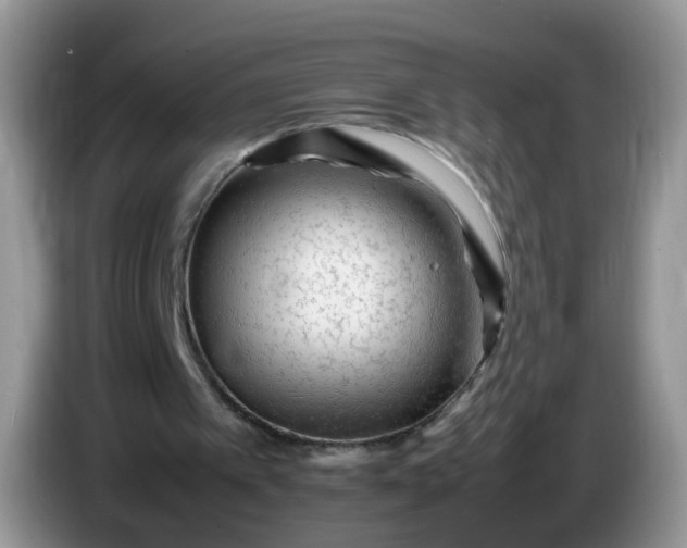 X0000086260097200704122017