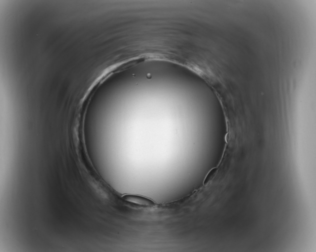 X0000086260098200704122017