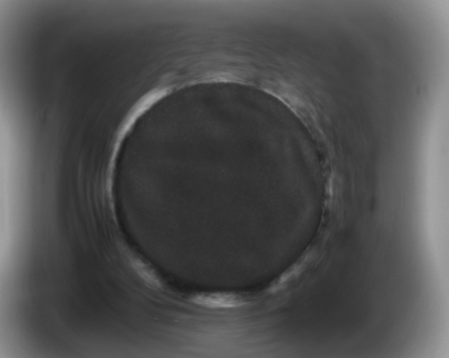 X0000086260104200704122017
