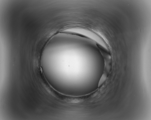 X0000086260105200704122017